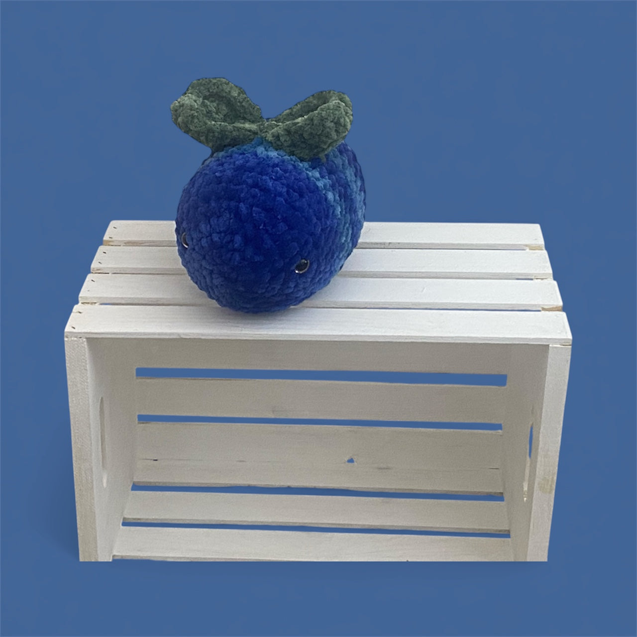 Sindney blueberry bee